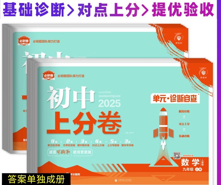 理想树《初中数学上分卷·2025人教版》