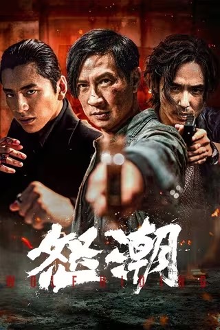 《怒潮（2023）》4K 国语中字 动作犯罪剧情【60fps 高帧高码【张家辉 / 阮经天 / 王大陆】