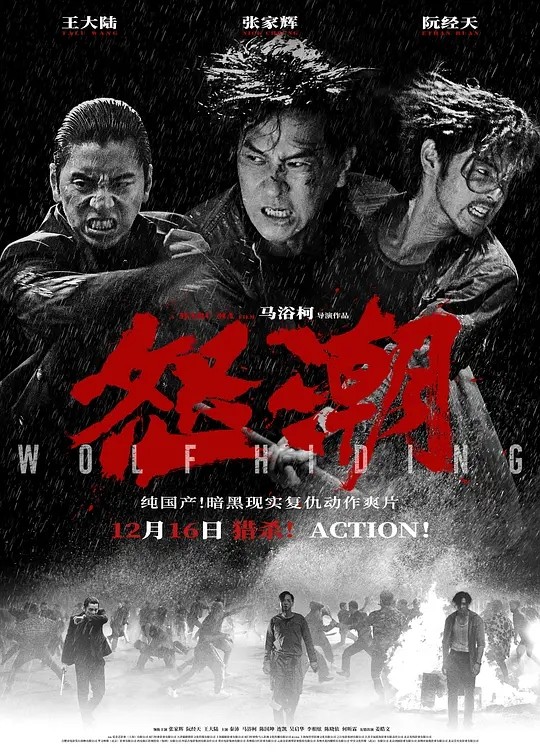 【电影】怒潮 2023 本色 新秩序 动作悬疑犯罪 张家辉 阮经天 王大陆 主演 高清